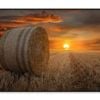 Sun Setting Straw Bales in A Field  Print 100% Australian Made 90x60cm  (Poster)