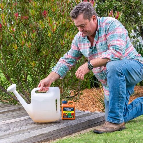 Charlie Carp All Purpose 1L in use 3018567