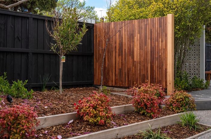 Garden with flowers and timber screen.