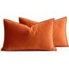 Catzon 2 Pcs Decorative Velvet Throw Pillow Covers Soild for Home Car 30X50cm-Orange
