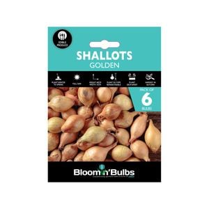 Bloomin' Bulbs Golden Shallots - 6 Pack