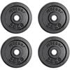 METEOR 2.5kgx4 Black Cast Iron Standard Weight Plates