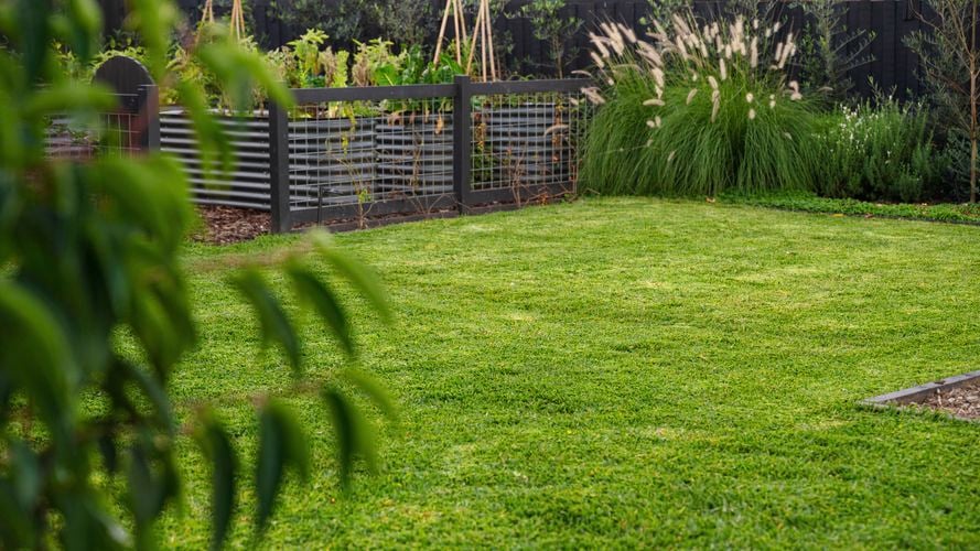 Image of tidy backyard with great looking grass
