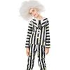 Rubies Beetlejuice Deluxe Child Striped Jacket Pants Costume Wigs - Green Slime