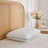 Dreamaker Tencel Cover Standard Memory Foam Pillow