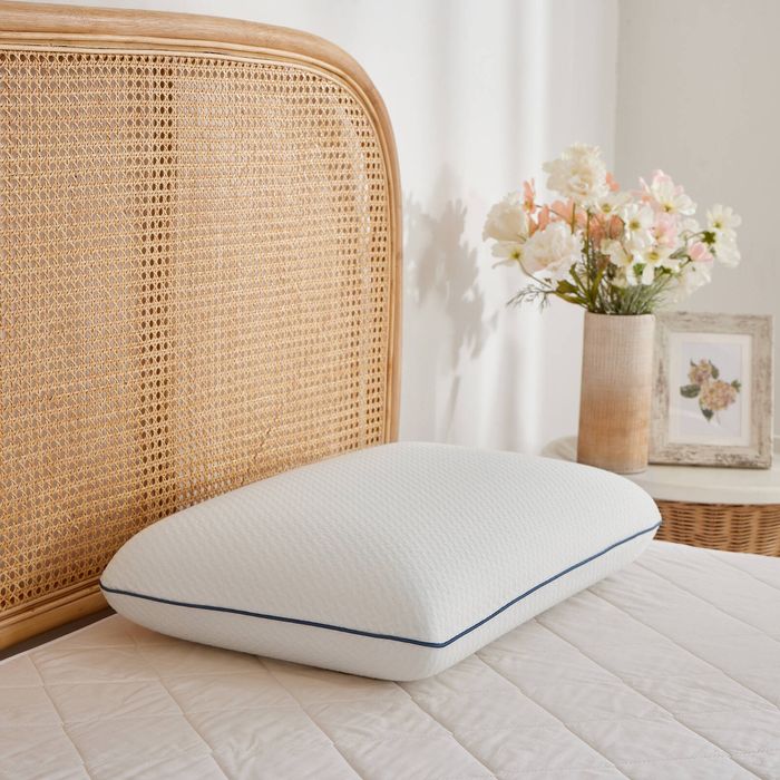 Dreamaker Tencel Cover Standard Memory Foam Pillow