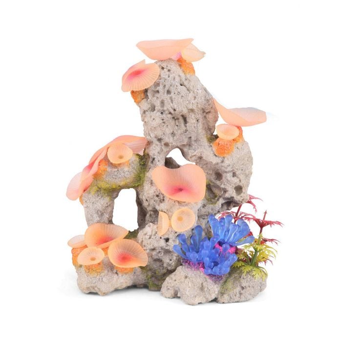 Kazoo Pumice Stone with Mushrooms (19468)