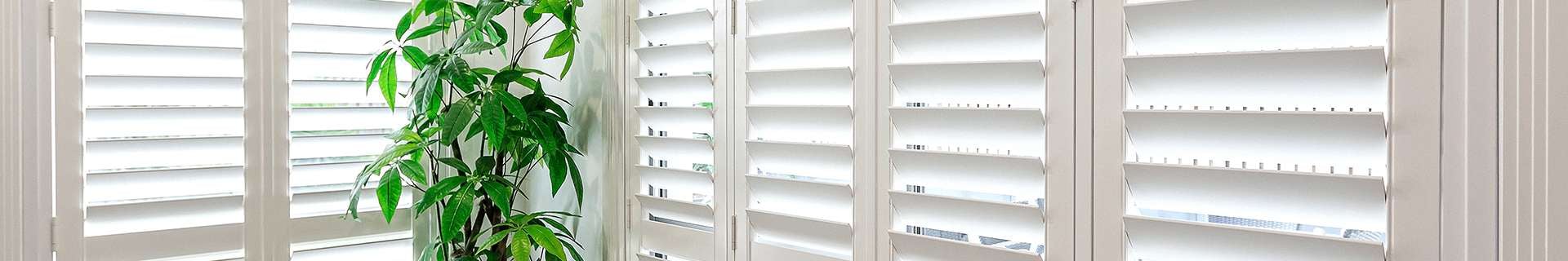White venetian blinds with indoor plant.