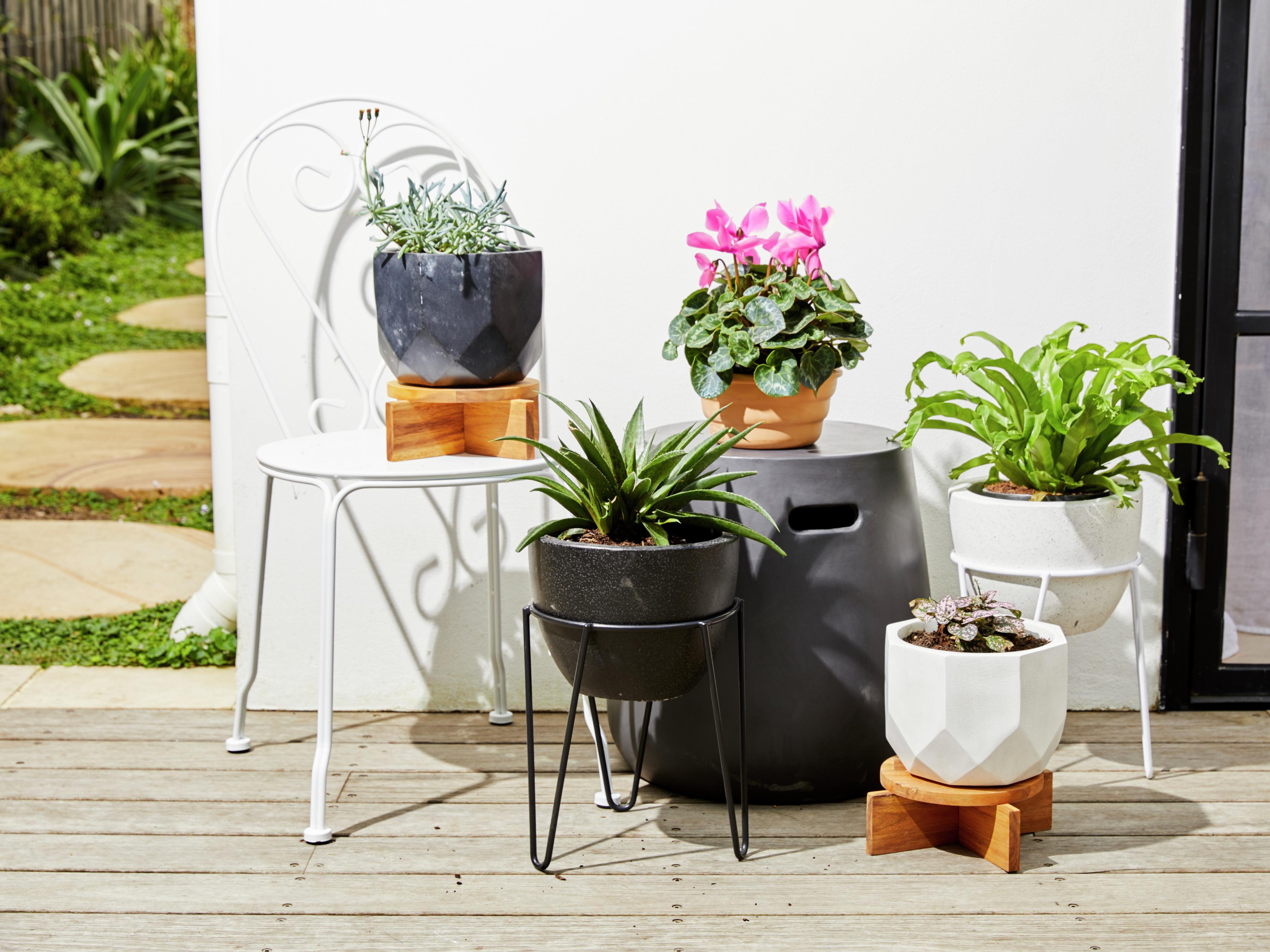 Bunnings plant pots discount