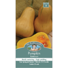 Mr Fothergill's  Butternut Pumpkin Vegetable Seeds