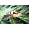 Jackall Mega Pompadour 120mm Surface Fishing Lure Brown Lizzard