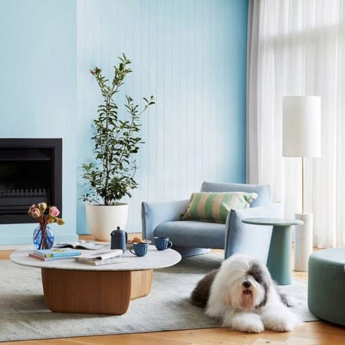 Bright modern living room with dog.