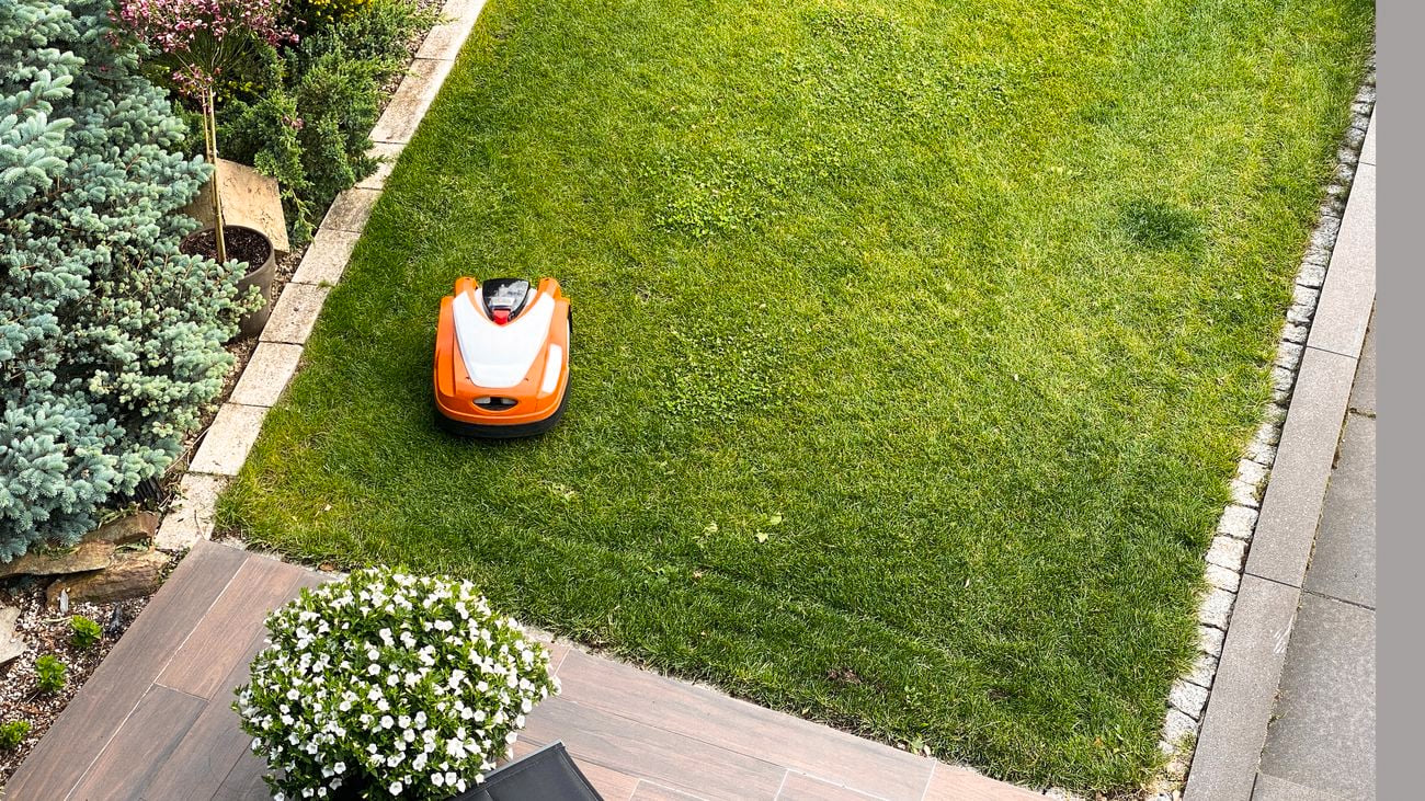 A robotic lawn mower on a grass in a backyard.