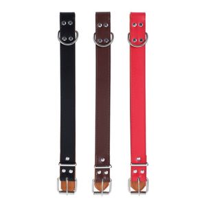 3x Paws & Claws Premium Original Dog/Pet 52-65x3cm Neck Collar Padded XL Asstd