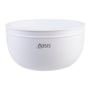 Oasis Stainless Steel Double Wall Salad Bowl With Lid 2.8l