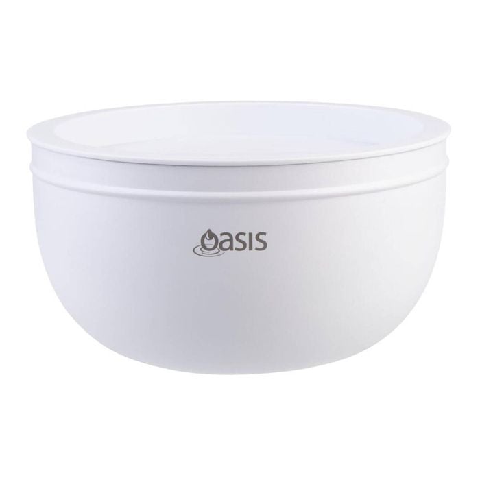 Oasis Stainless Steel Double Wall Salad Bowl With Lid 2.8l