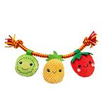 Baxter Bone Summer Fruits On A Rope Pet Toy