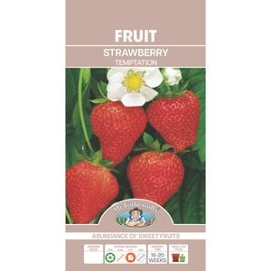 Mr Fothergill's Strawberry Temptation Seeds