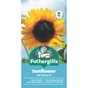 Fothergill's Sunflower Tall Timber F1 Seeds
