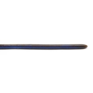 Raid Japan Adjustraight Fat 12" Worm Soft Plastic Fishing Lure Sieboldi