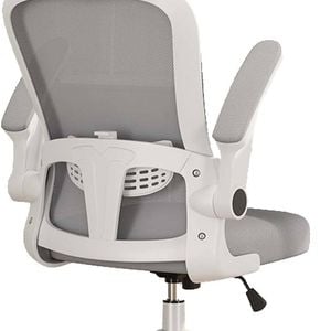Ergonomic Office Chair With Lumbar Back Support
