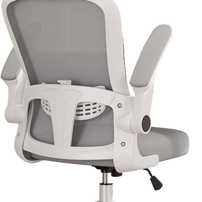 Ergonomic Office Chair With Lumbar Back Support