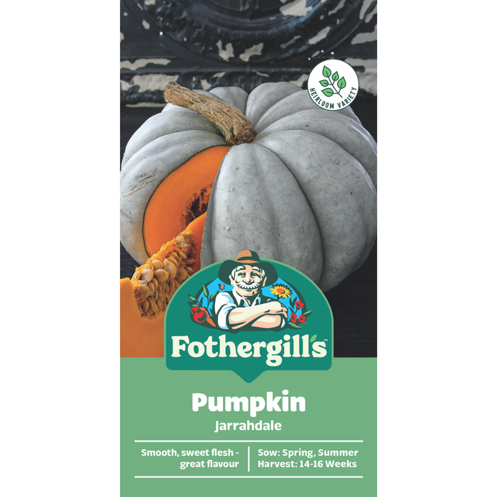 Fothergill's Jarrahdale Pumpkin Vegetable Seeds