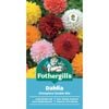 Fothergill's Dahlia Showpiece Double Mix Seeds