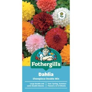 Fothergill's Dahlia Showpiece Double Mix Seeds