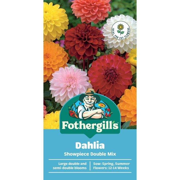 Fothergill's Dahlia Showpiece Double Mix Seeds