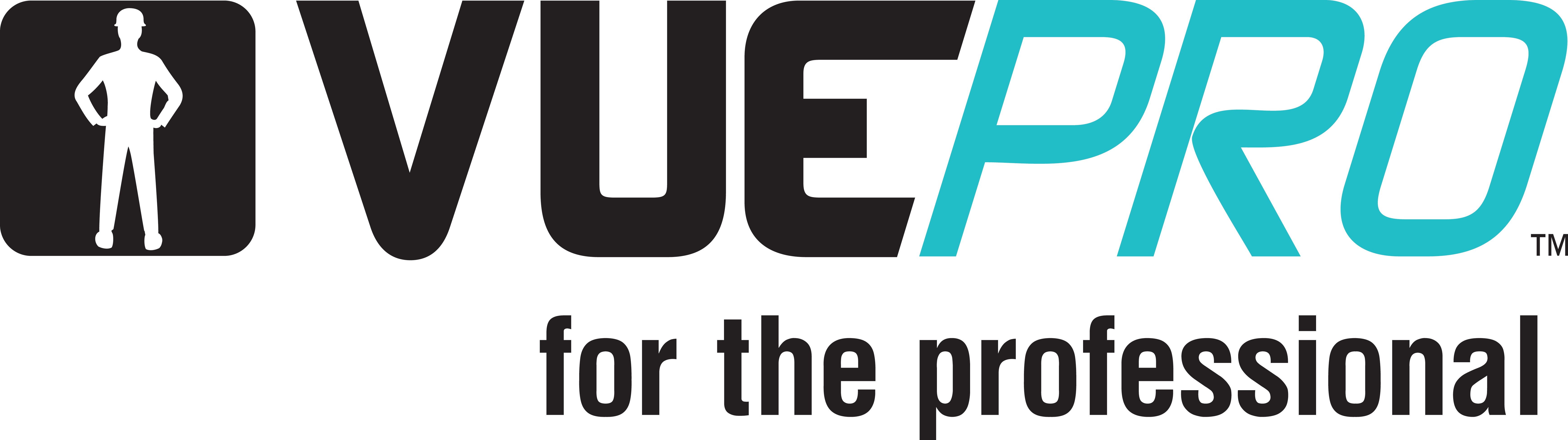 Vue pro logo in black and blue colourway