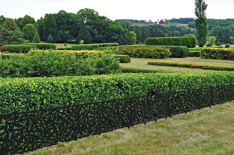 Backyard hedge with decorative screens