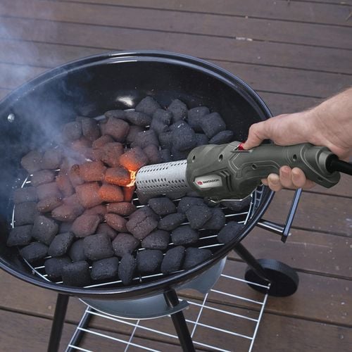 Coal starter bunnings store