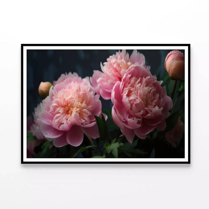 Fresh Pink Peonies Vase  Print 100% Australian Made 120x90cm  (Poster)