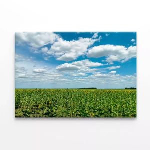 Plants under a Cloudy Sky   Print 100% Australian Made 75 x 50cm  (Stretched)