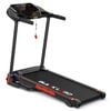 BLACK LORD Treadmill Electric Incline Running Machine