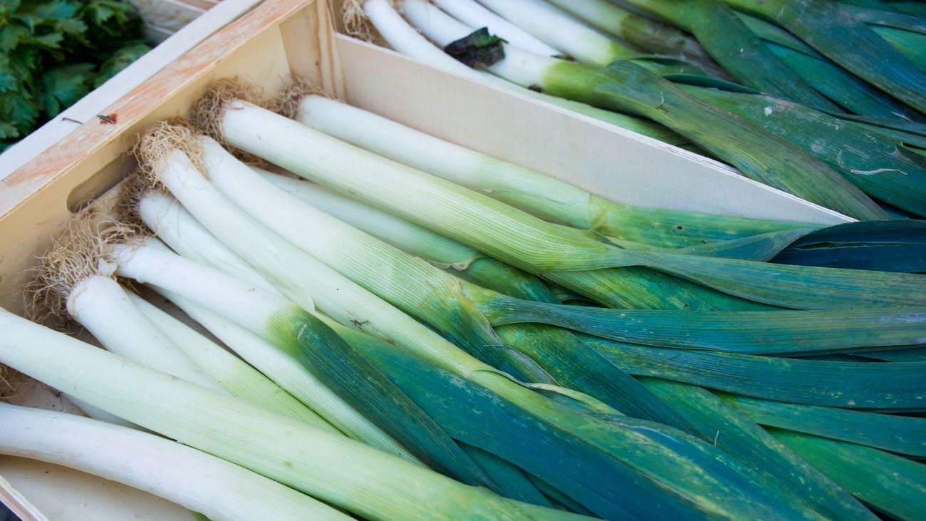 Fresh leeks sitting in wooden crates, in a market