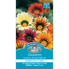 Mr Fothergill's Gazania Sunshine F1 Seeds