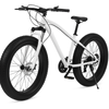 26 X Large Fat Tyre Bicyle mountain bike Full Suspension 21 speed white