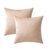 Catzon 2 Pcs Square Throw Pillow Covers Solid Soft Velvet for Spring Sofa-Camel