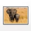 Elephant & Its Calf Standing  Print 100% Australian Made 120x90cm  (Poster)