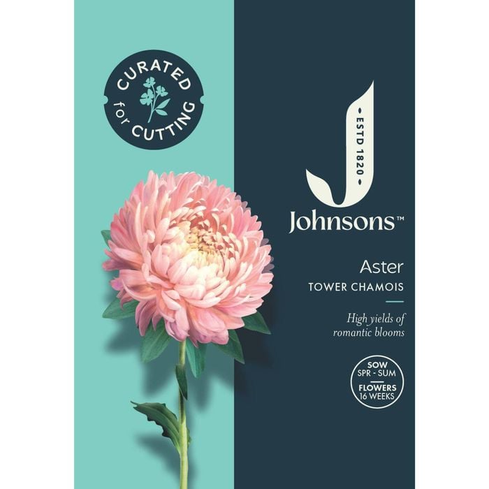 Johnsons Curated For Cutting Aster Tower Chamois