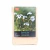 Yarra Valley Bulbs Peacock Iris - 3 Pack
