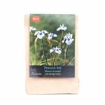 Yarra Valley Bulbs Peacock Iris - 3 Pack