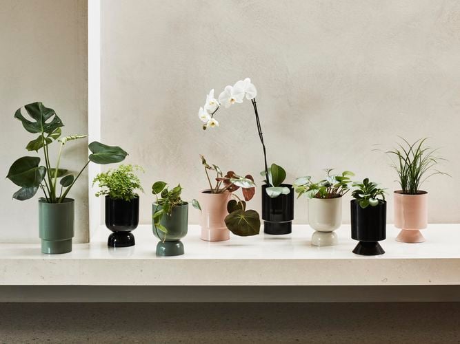 pot range