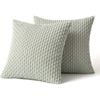 Catzon 2 Pcs Throw Pillow Covers Soft Striped Corduroy Cushion Case for Couch 50X50cm-Light Green