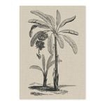 Coastal Palm Charcoal - Type 1 A1 Poster Print