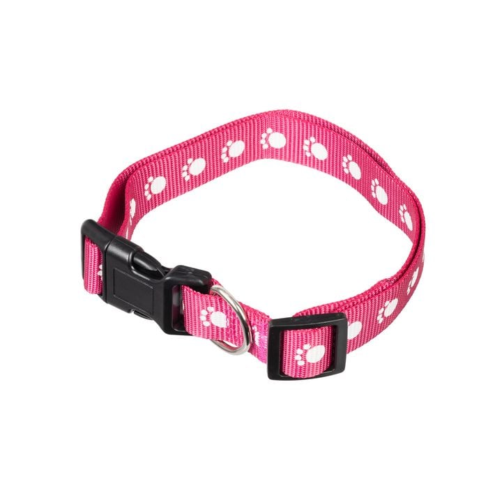 Happy Tails Large Paw Print Dog Collar