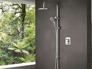 Glass bathroom with a shower and window looking out into Nature.