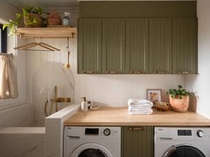 Laundry cabinetry with a pet bathing area